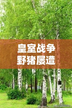 皇室戰(zhàn)爭野豬屢遭削弱后是否絕跡？探索電火豬卡組全新生存之道？