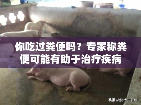 你吃過(guò)糞便嗎？專(zhuān)家稱(chēng)糞便可能有助于治療疾病