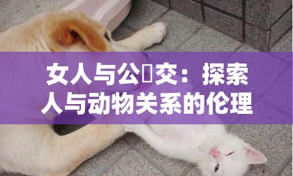 女人與公豬交：探索人與動(dòng)物關(guān)系的倫理與心理深層解析