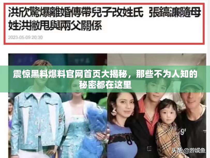 震驚黑料爆料官網(wǎng)首頁(yè)大揭秘，那些不為人知的秘密都在這里