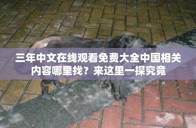 三年中文在線觀看免費(fèi)大全中國相關(guān)內(nèi)容哪里找？來這里一探究竟