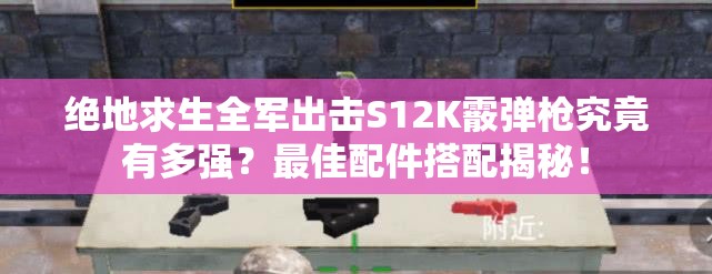 絕地求生全軍出擊S12K霰彈槍究竟有多強(qiáng)？最佳配件搭配揭秘！