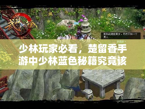 少林玩家必看，楚留香手游中少林藍(lán)色秘籍究竟該如何選擇？