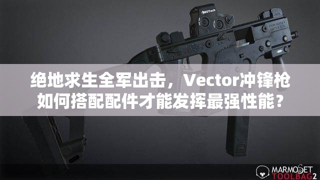 絕地求生全軍出擊，Vector沖鋒槍如何搭配配件才能發(fā)揮最強(qiáng)性能？
