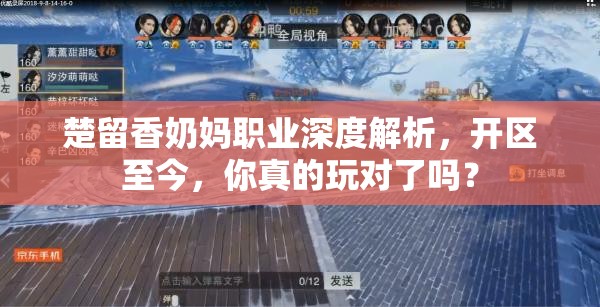 楚留香奶媽職業(yè)深度解析，開區(qū)至今，你真的玩對了嗎？