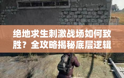 絕地求生刺激戰(zhàn)場如何致勝？全攻略揭秘底層邏輯與操作映射深度秘密