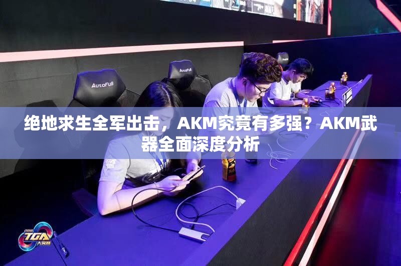 絕地求生全軍出擊，AKM究竟有多強？AKM武器全面深度分析