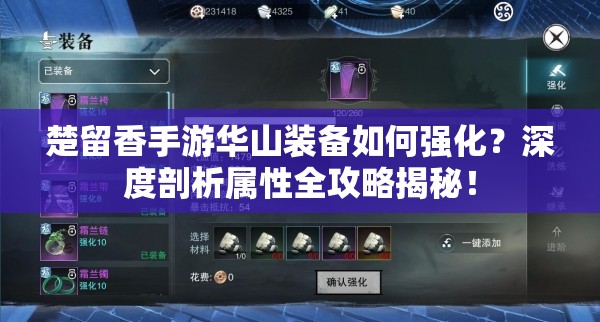 楚留香手游華山裝備如何強(qiáng)化？深度剖析屬性全攻略揭秘！