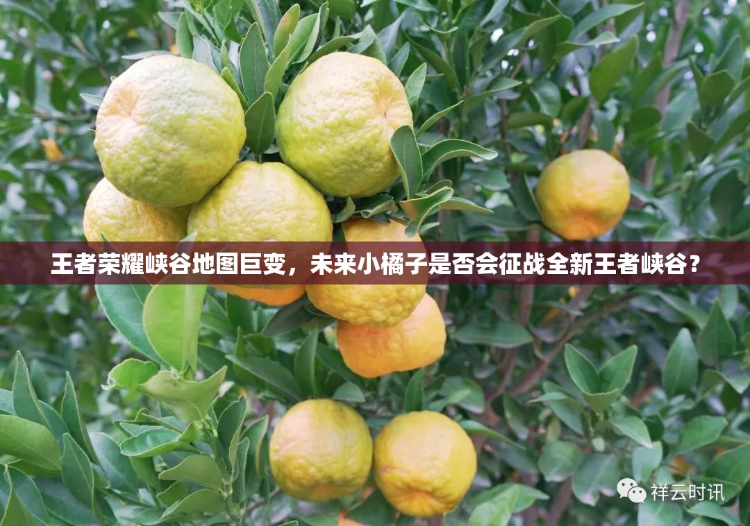 王者榮耀峽谷地圖巨變，未來小橘子是否會征戰(zhàn)全新王者峽谷？