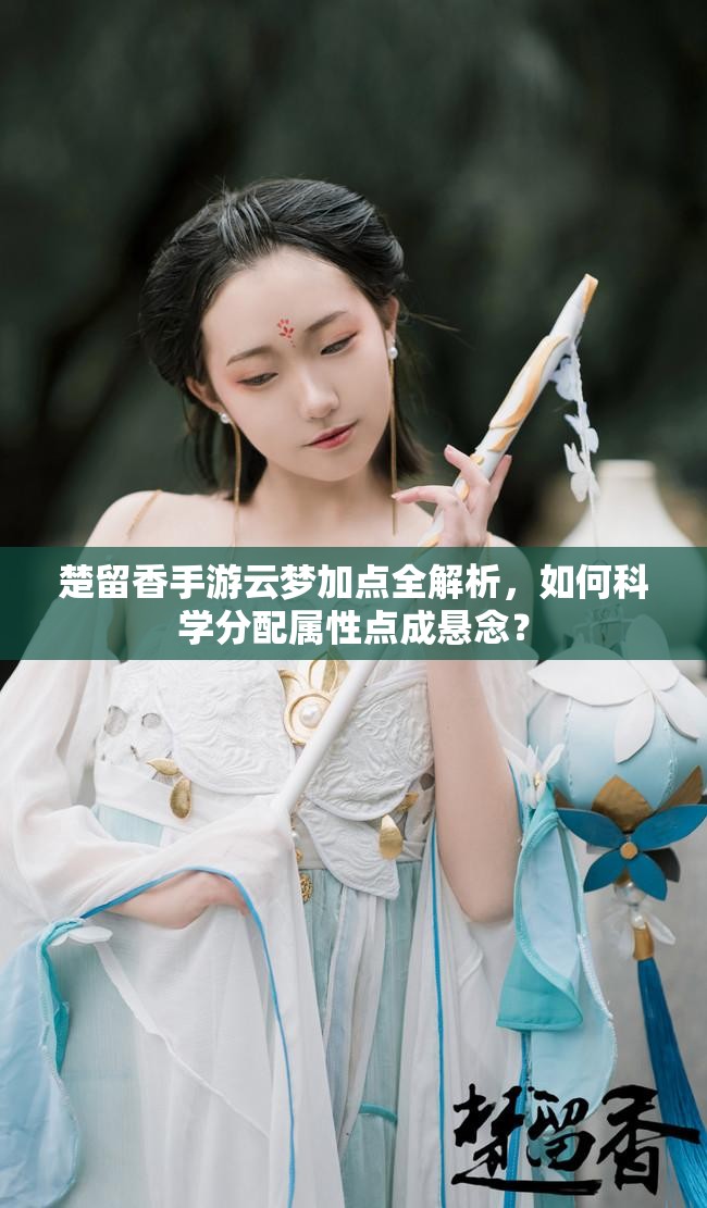楚留香手游云夢加點全解析，如何科學(xué)分配屬性點成懸念？