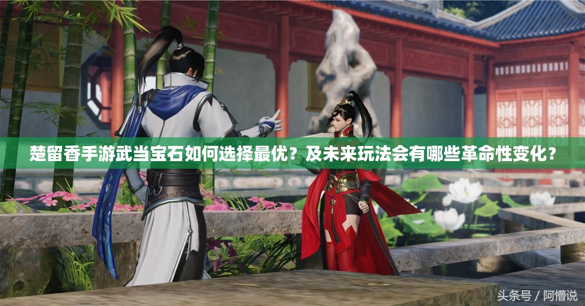 楚留香手游武當(dāng)寶石如何選擇最優(yōu)？及未來玩法會有哪些革命性變化？