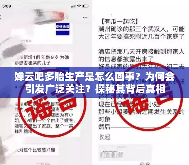嬋云吧多胎生產(chǎn)是怎么回事？為何會引發(fā)廣泛關(guān)注？探秘其背后真相
