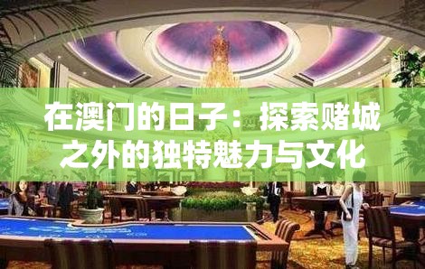 在澳門的日子：探索賭城之外的獨特魅力與文化體驗