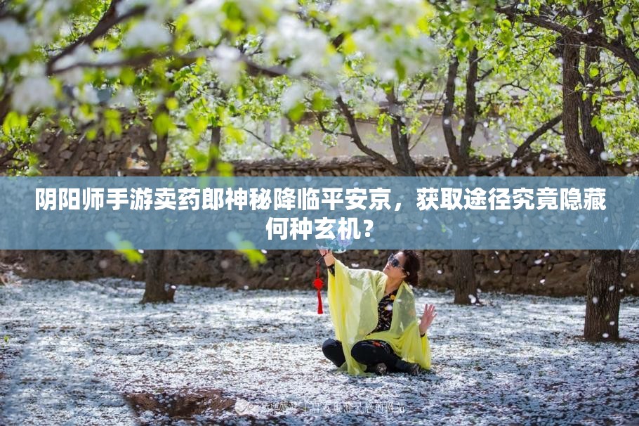 陰陽師手游賣藥郎神秘降臨平安京，獲取途徑究竟隱藏何種玄機(jī)？