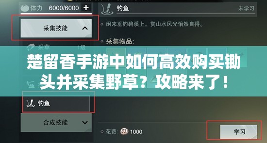 楚留香手游中如何高效購買鋤頭并采集野草？攻略來了！