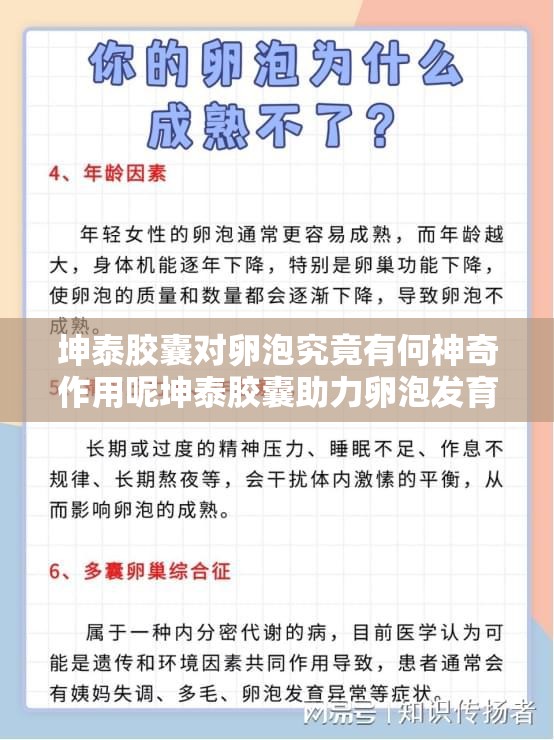 坤泰膠囊對卵泡究竟有何神奇作用呢坤泰膠囊助力卵泡發(fā)育的奧秘何在坤泰膠囊影響卵泡的作用究竟怎樣呢