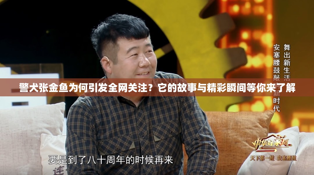 警犬張金魚為何引發(fā)全網(wǎng)關(guān)注？它的故事與精彩瞬間等你來了解