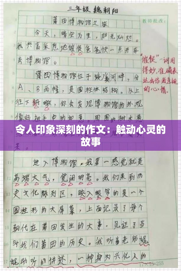 令人印象深刻的作文：觸動(dòng)心靈的故事