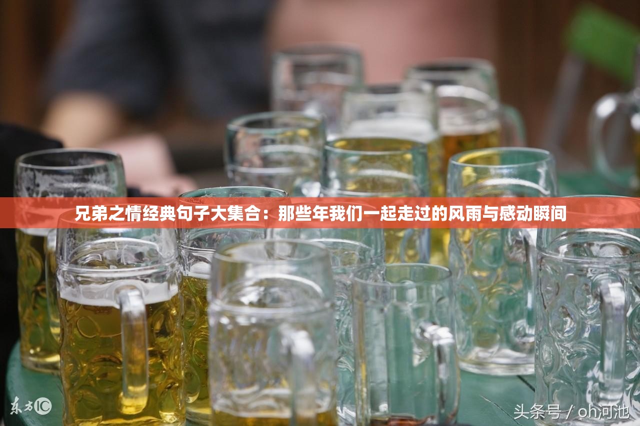 兄弟之情經(jīng)典句子大集合：那些年我們一起走過(guò)的風(fēng)雨與感動(dòng)瞬間