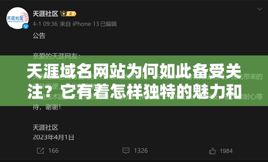 天涯域名網(wǎng)站為何如此備受關(guān)注？它有著怎樣獨特的魅力和價值？