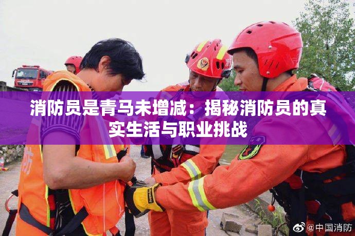 消防員是青馬未增減：揭秘消防員的真實(shí)生活與職業(yè)挑戰(zhàn)