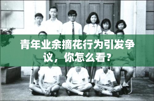 青年業(yè)余摘花行為引發(fā)爭議，你怎么看？