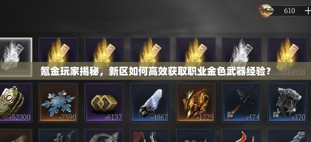 氪金玩家揭秘，新區(qū)如何高效獲取職業(yè)金色武器經驗？