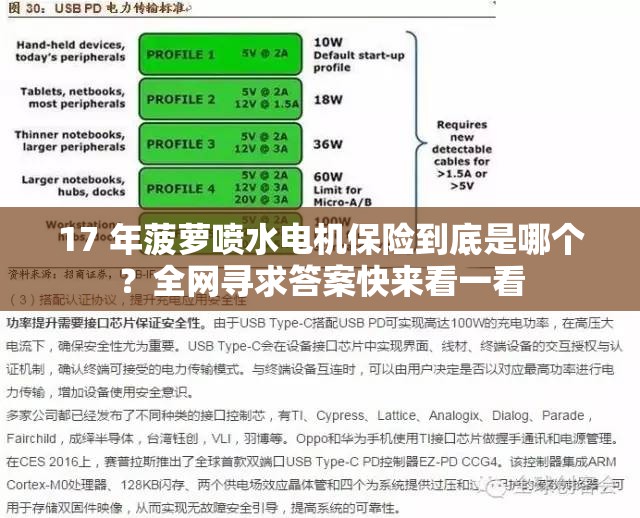 17 年菠蘿噴水電機保險到底是哪個？全網尋求答案快來看一看