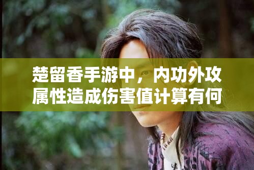 楚留香手游中，內功外攻屬性造成傷害值計算有何神秘演變史？