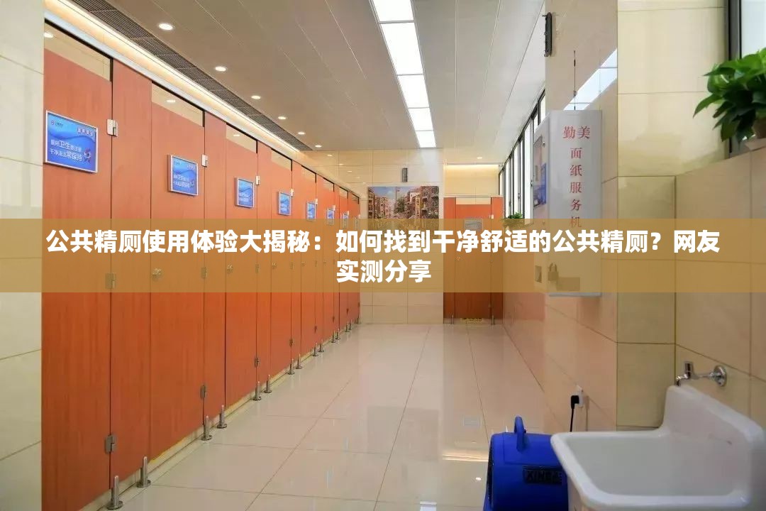 公共精廁使用體驗大揭秘：如何找到干凈舒適的公共精廁？網友實測分享