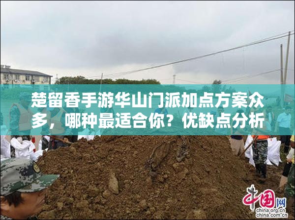 楚留香手游華山門派加點方案眾多，哪種最適合你？優(yōu)缺點分析揭曉！