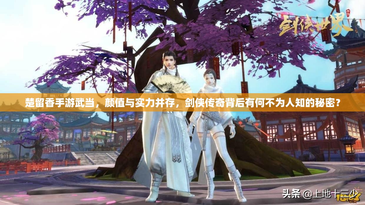 楚留香手游武當(dāng)，顏值與實(shí)力并存，劍俠傳奇背后有何不為人知的秘密？