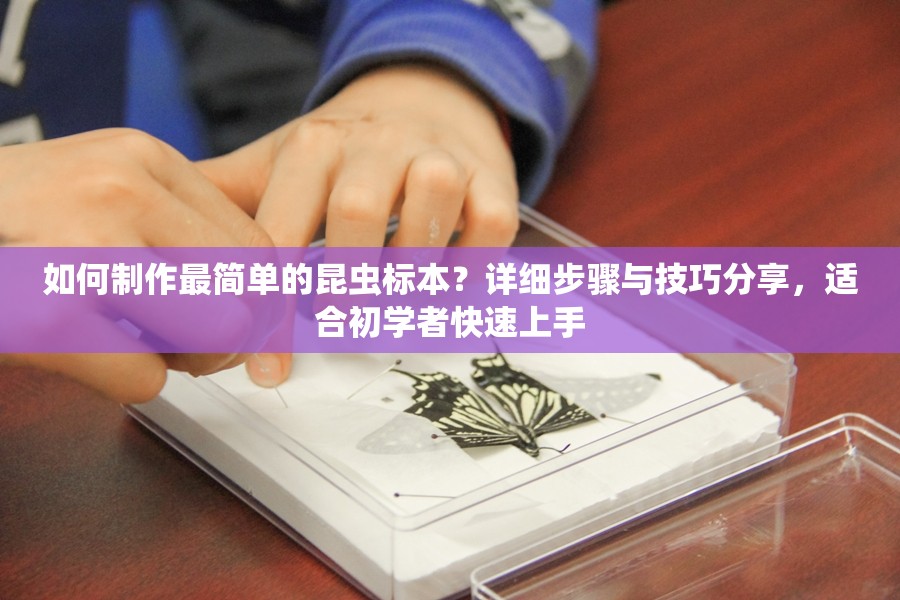 如何制作最簡(jiǎn)單的昆蟲(chóng)標(biāo)本？詳細(xì)步驟與技巧分享，適合初學(xué)者快速上手