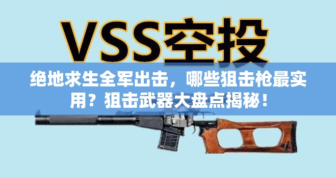 絕地求生全軍出擊，哪些狙擊槍最實(shí)用？狙擊武器大盤(pán)點(diǎn)揭秘！