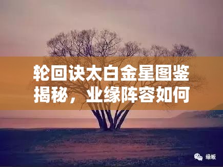 輪回訣太白金星圖鑒揭秘，業(yè)緣陣容如何搭配？深度解析等你來探！