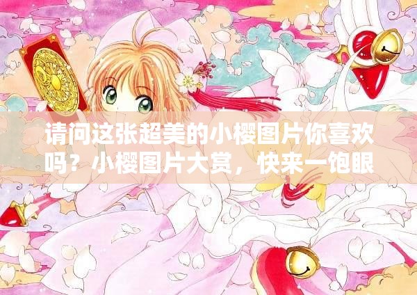 請問這張超美的小櫻圖片你喜歡嗎？小櫻圖片大賞，快來一飽眼福