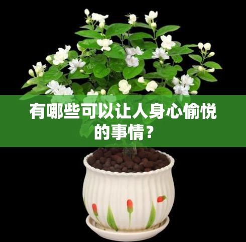 有哪些可以讓人身心愉悅的事情？