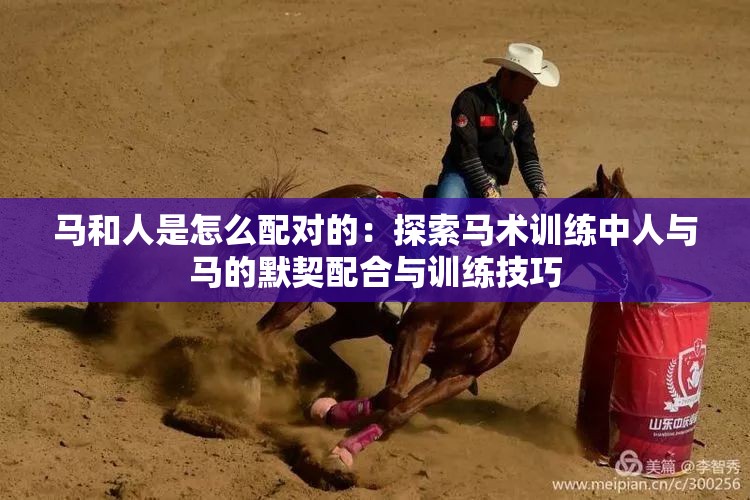 馬和人是怎么配對的：探索馬術訓練中人與馬的默契配合與訓練技巧