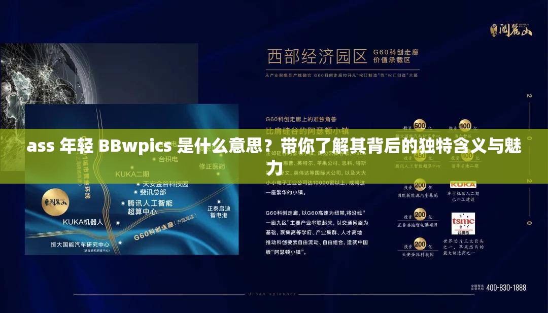 ass 年輕 BBwpics 是什么意思？帶你了解其背后的獨特含義與魅力