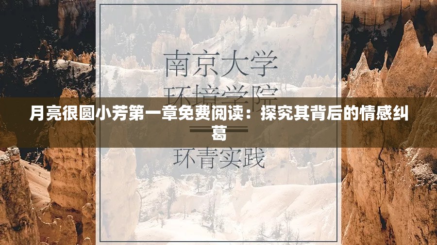 月亮很圓小芳第一章免費閱讀：探究其背后的情感糾葛