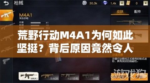 荒野行動(dòng)M4A1為何如此堅(jiān)挺？背后原因竟然令人意想不到？