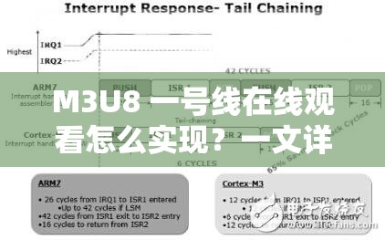 M3U8 一號(hào)線在線觀看怎么實(shí)現(xiàn)？一文詳解其觀看方法與技巧或者：想知道 M3U8 一號(hào)線在線觀看的具體方式？快來這里找答案