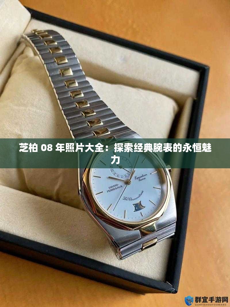 芝柏 08 年照片大全：探索經典腕表的永恒魅力
