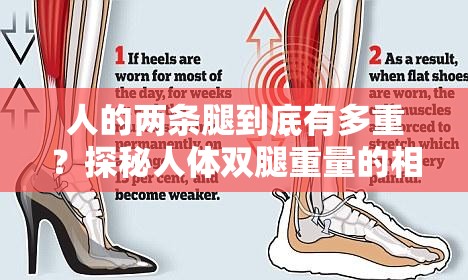人的兩條腿到底有多重？探秘人體雙腿重量的相關奧秘與影響因素