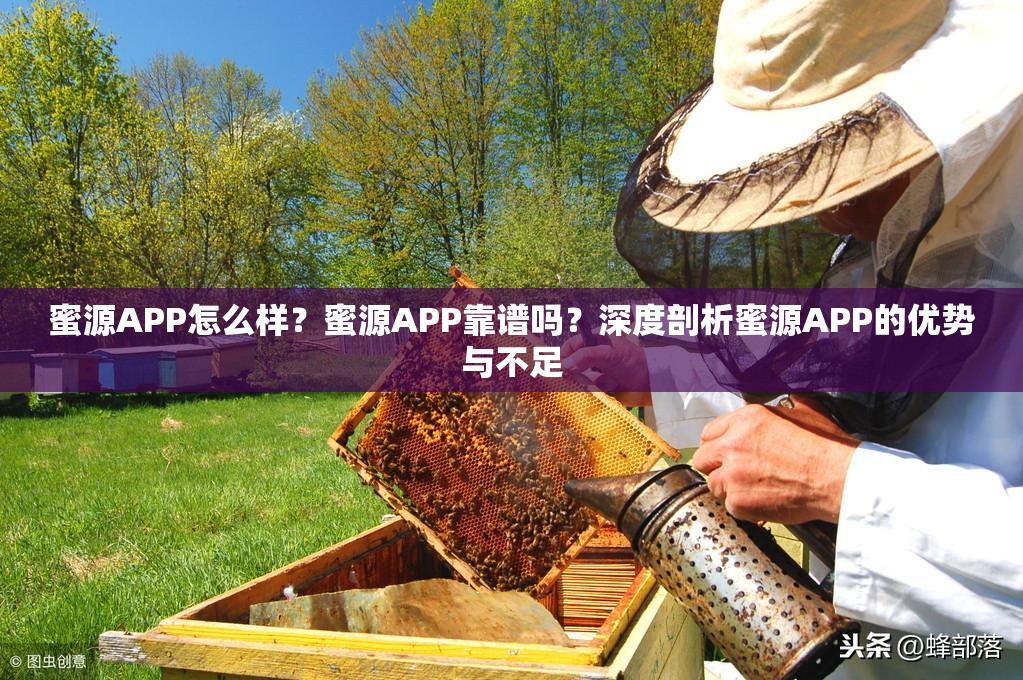 蜜源APP怎么樣？蜜源APP靠譜嗎？深度剖析蜜源APP的優(yōu)勢(shì)與不足