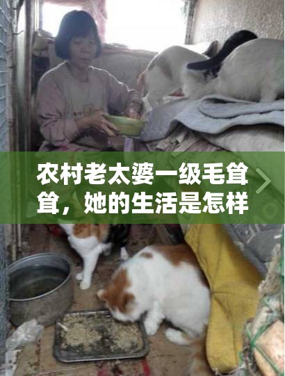 農(nóng)村老太婆一級(jí)毛聳聳，她的生活是怎樣的？