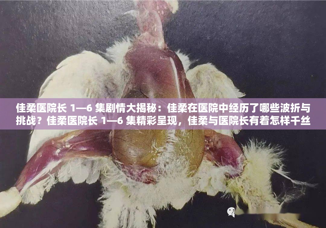 佳柔醫(yī)院長(zhǎng) 1—6 集劇情大揭秘：佳柔在醫(yī)院中經(jīng)歷了哪些波折與挑戰(zhàn)？佳柔醫(yī)院長(zhǎng) 1—6 集精彩呈現(xiàn)，佳柔與醫(yī)院長(zhǎng)有著怎樣千絲萬(wàn)縷的故事？深度解析佳柔醫(yī)院長(zhǎng) 1—6 集，佳柔在醫(yī)院的遭遇與成長(zhǎng)引人關(guān)注，快來(lái)看看