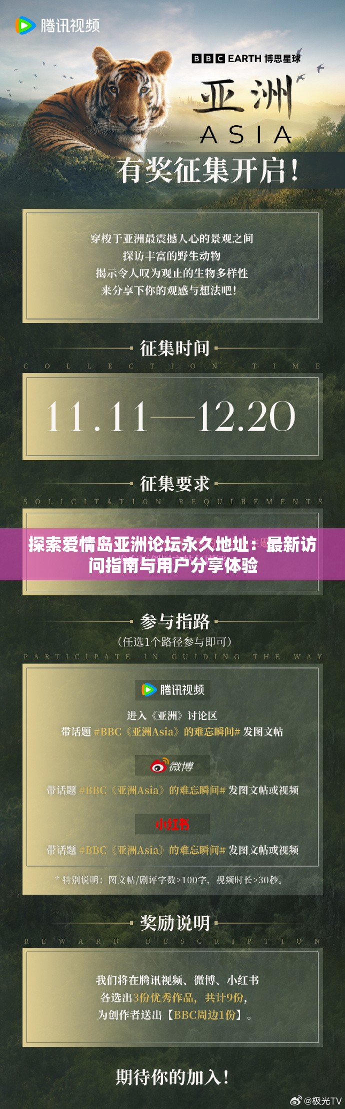 探索愛情島亞洲論壇永久地址：最新訪問指南與用戶分享體驗