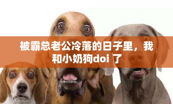 被霸總老公冷落的日子里，我和小奶狗doi 了
