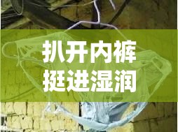 扒開內(nèi)褲挺進(jìn)濕潤的花莖視頻：其背后的故事與情感表達(dá)